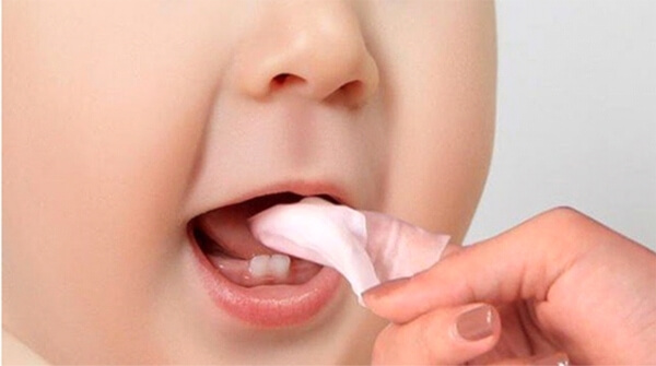 Deciduous Teeth - Baby Teeth - Primary teeth